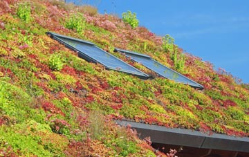 Rhydargaeau living roof systems